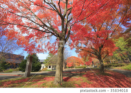 Eji Temple Museum秋葉Kakimachi 35834018