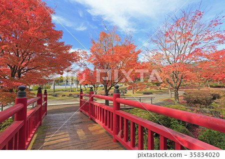 Eji Temple Museum Autumn leaves Kakimachi Eji Temple Museum Autumn leaves Kakimachi 35834020