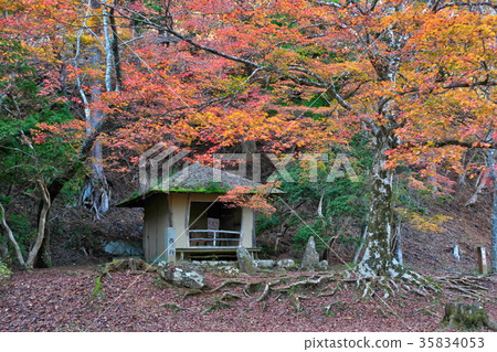 Saigyoan Saigyoan 35834053