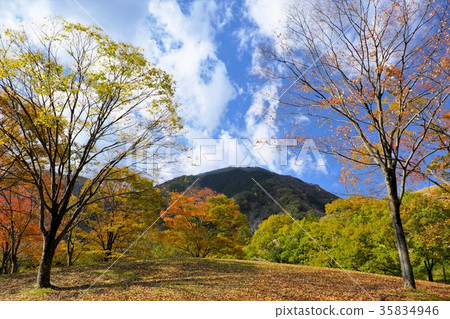 秋天的公園 秋天的公園 35834946