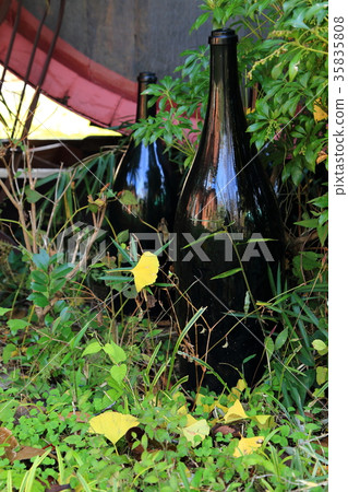 Ushiku城堡花園瓶 35835808