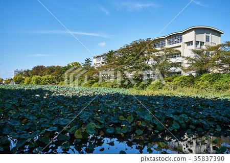 The moat of Akita Chiaki Park The moat of Akita Chiaki Park 35837390