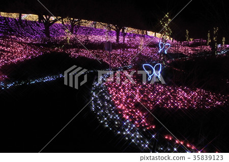 Illumination of Lake Sagami Pleasure Forest Illumination of Lake Sagami Pleasure Forest 35839123