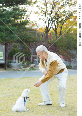 Companion dogs and old people walking, healthy old age Companion dogs and old people walking, healthy old age 35839138