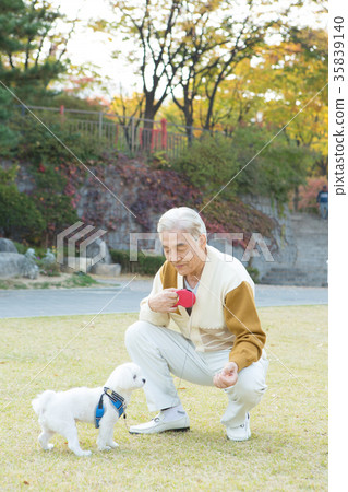 Companion dogs and old people walking, healthy old age Companion dogs and old people walking, healthy old age 35839140