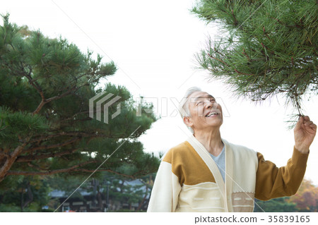 Elderly people walking in the garden, pine trees and the elderly 35839165