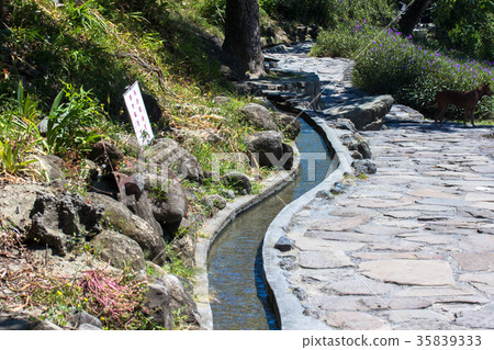 水往上流 35839333