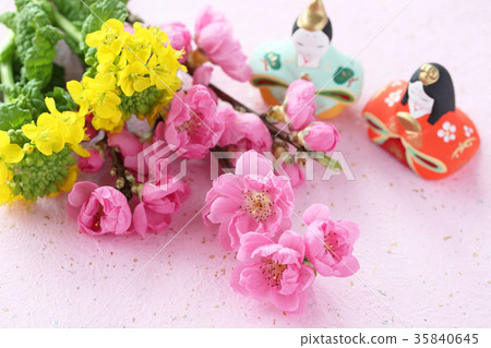 花桃子強姦開花喜歡白皮書背景 35840645