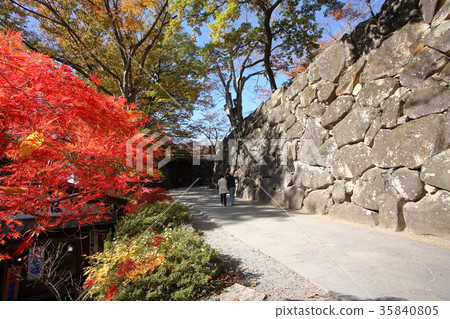 石垣和Komoro老花園的秋葉 石垣和Komoro老花園的秋葉 35840805