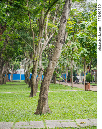 Vietnam park with many trees. Vietnam park with many trees. 35840810