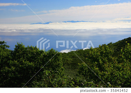 Masuyama山區漂浮在日本海和從山上看到的雲海。 35841452