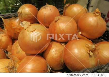 onion  35841890
