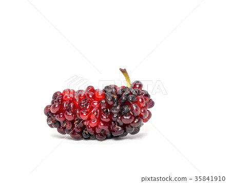 Group of mulberries isolated on white background. Group of mulberries isolated on white background. 35841910