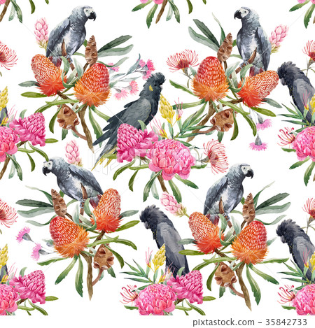 Watercolor tropical australian vector pattern 35842733