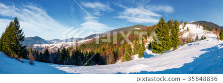 gorgeous panorama of winter countryside 35848836