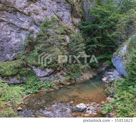Small waterfall in the Bicaz Gorge, Romania 35851623