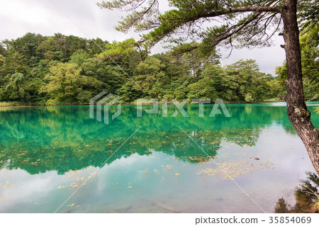Bishamonnuma (August, Goshikinuma summer) 35854069