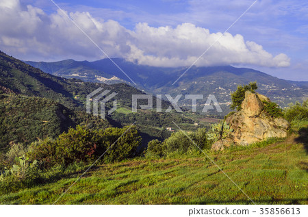 Sicilian countryside on the north coast 35856613