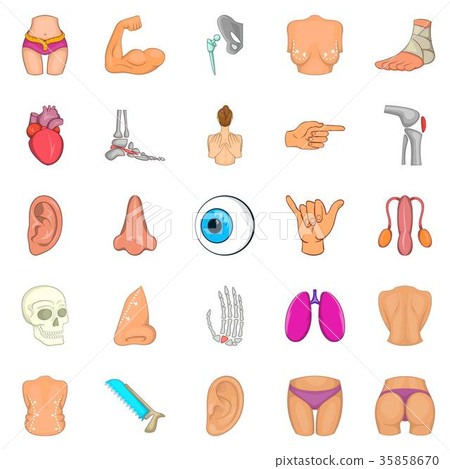 Human body icons set, cartoon style Human body icons set, cartoon style 35858670
