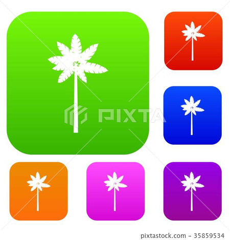 Palm woody plant set collection Palm woody plant set collection 35859534