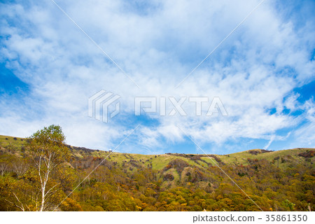 Autumn leaves of the plateau overlooking the Nagano Nagano mountainous weather radar station Autumn leaves of the plateau overlooking the Nagano Nagano mountainous weather radar station 35861350