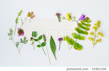 nature composition nature composition 35863186