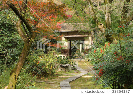 京都直手指 京都直手指 35864387