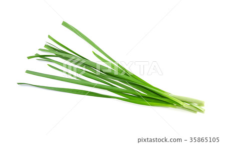 Garlic chives on white background 35865105