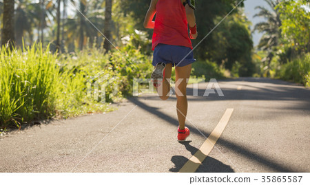 fitness woman runner running on the forest trail fitness woman runner running on the forest trail 35865587
