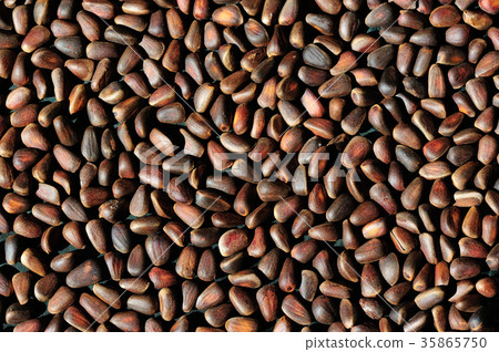 Pine nuts 35865750