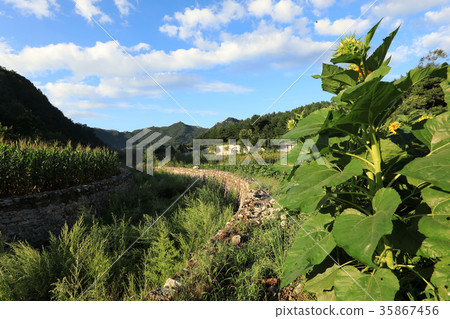 rural scene  at the foot of mountain 35867456