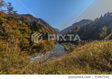 Kiyotsu河的風景在秋天 35867593
