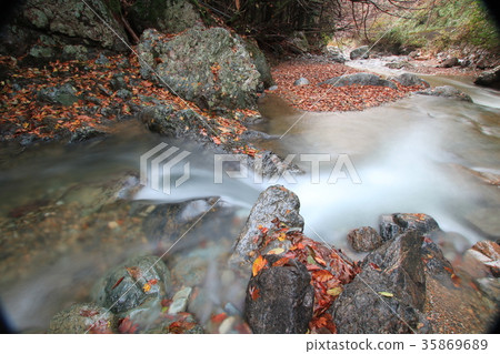 Autumn leaves mountain stream autumn Autumn leaves mountain stream autumn 35869689