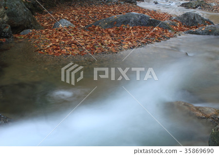 Autumn leaves mountain stream autumn Autumn leaves mountain stream autumn 35869690