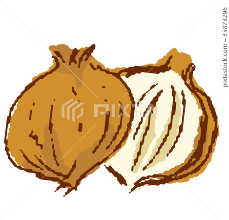 蔬菜洋蔥 35873296