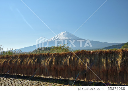 Fall of Harvest 35874088