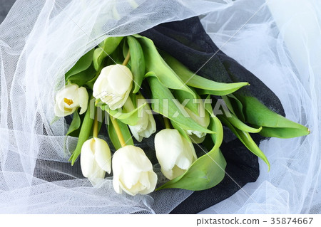 White tulips in a white and black cloth. White tulips in a white and black cloth. 35874667