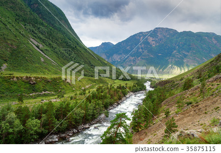 Valley of Chulcha river. Altai Republic. Russia Valley of Chulcha river. Altai Republic. Russia 35875115