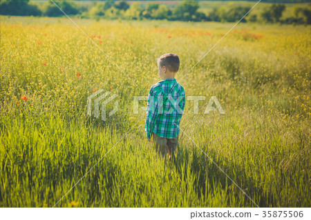 Handsome happy boy child enjoy posing summer Handsome happy boy child enjoy posing summer 35875506