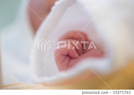新生兒0個月大 35875763