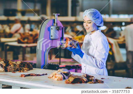 Raw meat production factory worker 35877753