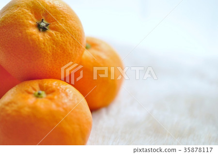 Wenzhou mandarin orange Wenzhou mandarin orange 35878117