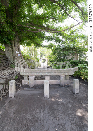 Kurokami Buried Torii-Torii buried in the Sakurajima Taisho eruption- 35879290