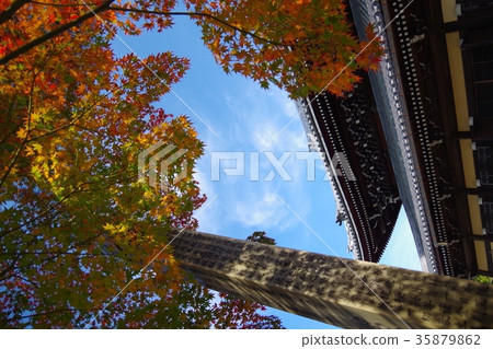 Autumn leaves Autumn leaves 35879862