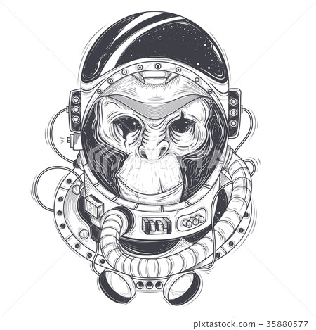 hand drawn illustration of a monkey astronaut hand drawn illustration of a monkey astronaut 35880577