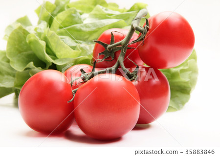 Fresh vegetables on white background Fresh vegetables on white background 35883846