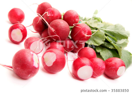 Fresh radish on white background Fresh radish on white background 35883850
