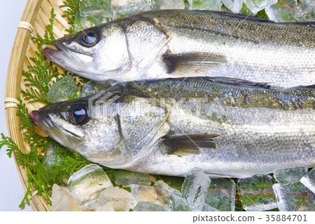 Suzuki ingredients Suzuki ingredients 35884701