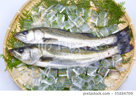 Suzuki ingredients 35884709