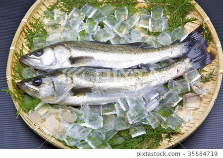 鈴木成分 鈴木成分 35884719